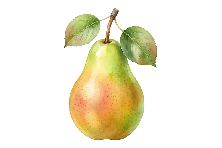 Pear Png Image 18