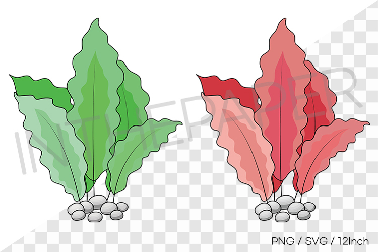 Wavy seaweed PNG SVG clipart marine plant cartoon illust example image 1