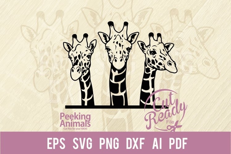 Peep Clipart Image 23