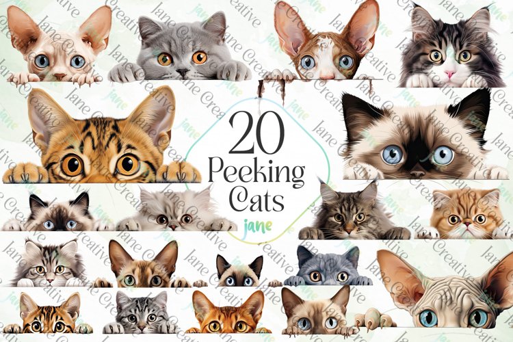 Kitten Clipart Image 18