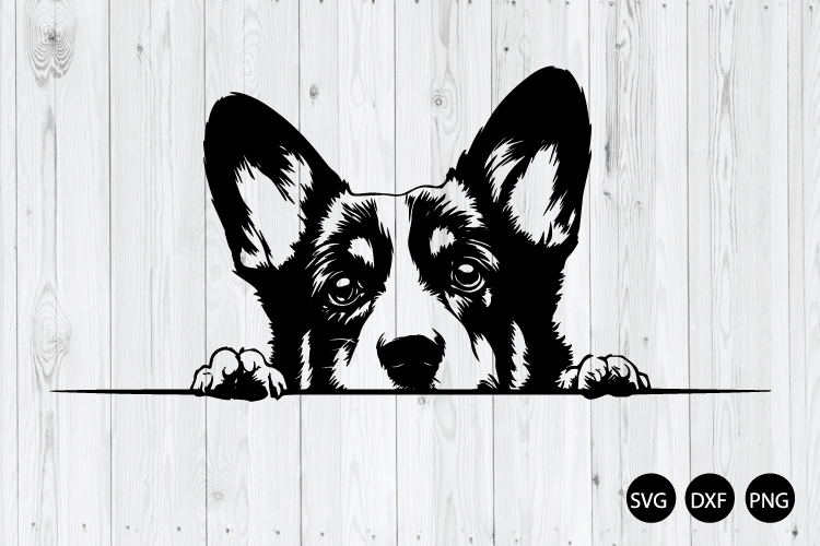 Hund Png Image 3