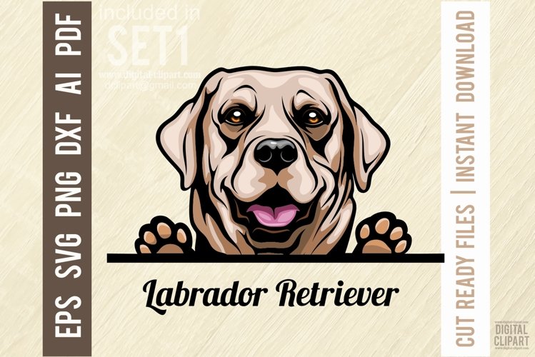 Labrador Svg Image 7