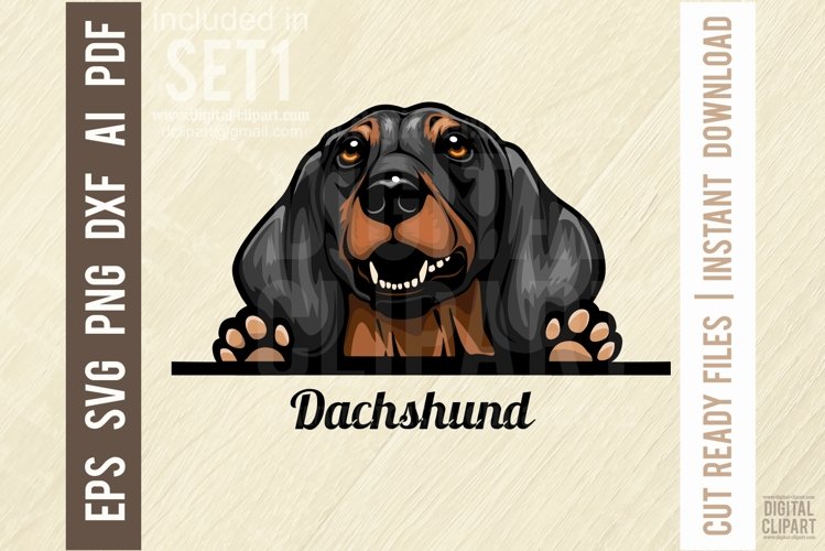 Dog Breed Svg Image 10