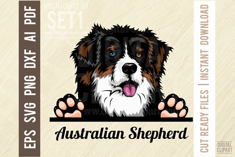 Australian Shepherd - Peeking Dog Color SVG Pet Portrait example image 1