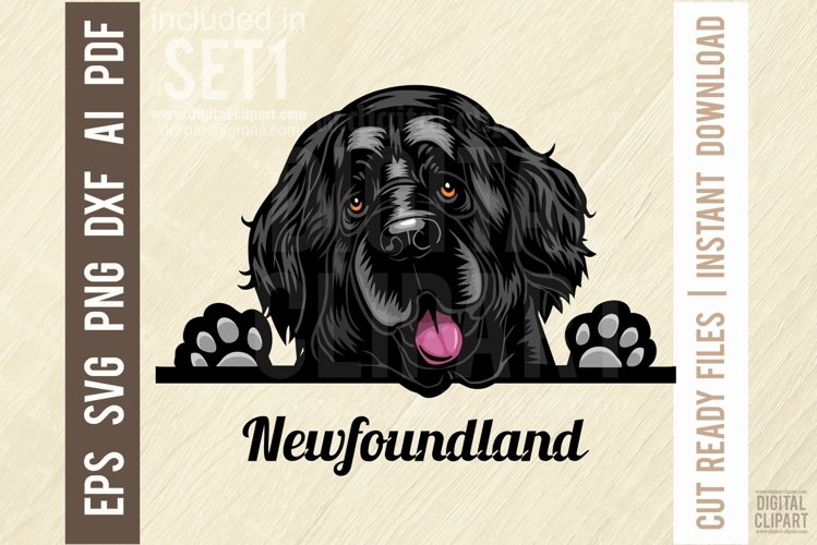 Dog Breed Svg Image 22