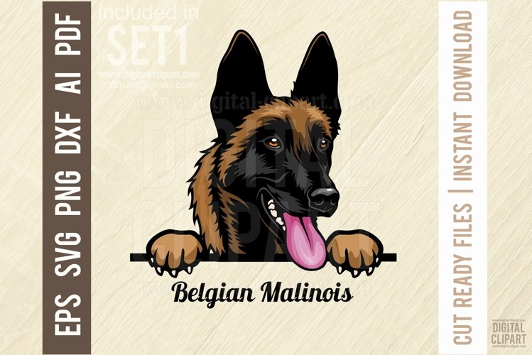 Dog Breed Svg Image 17