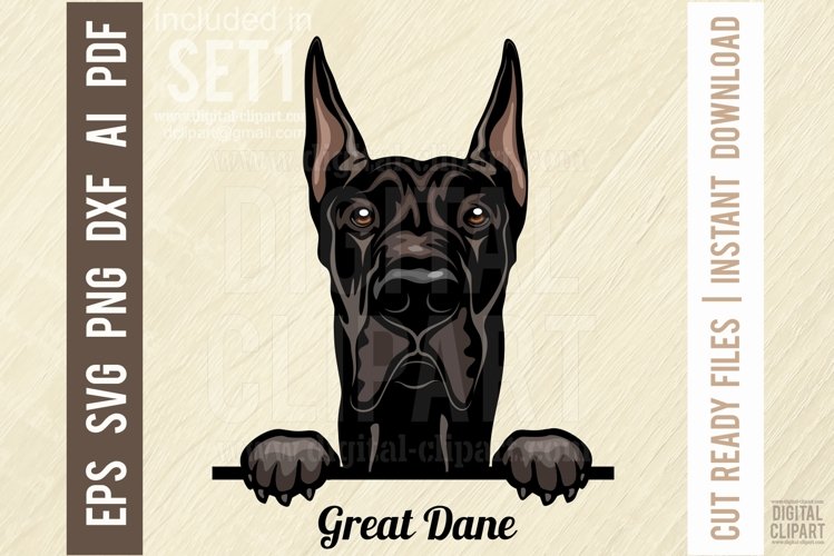 Great Dane - Peeking Dog Color SVG Pet Vector Portrait