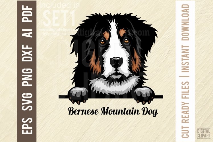 Bernese Clipart Image 24