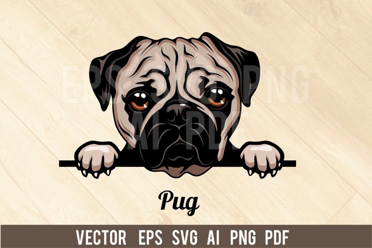 Pug Illustration Image 14
