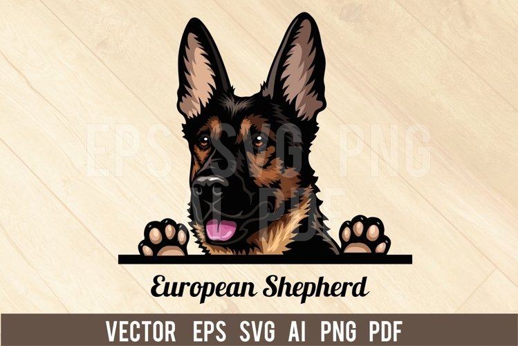 European Shepherd Dog, Head dog SVG color Vector Clipart