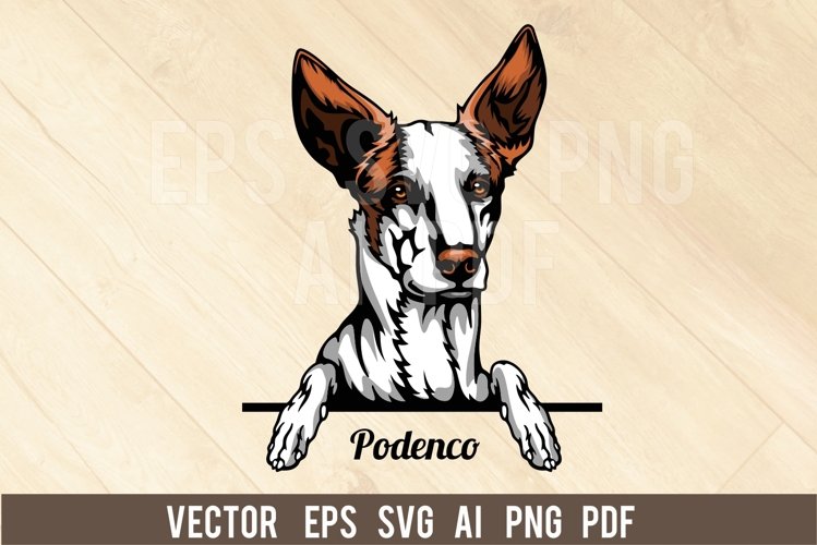 Podenco Dog, Head dog SVG color Vector Clipart