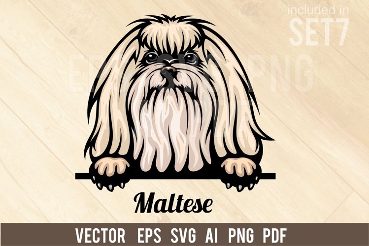 Peeking Dog Svg Image 18