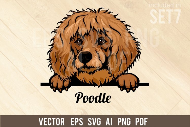 Poodle Svg Image 22