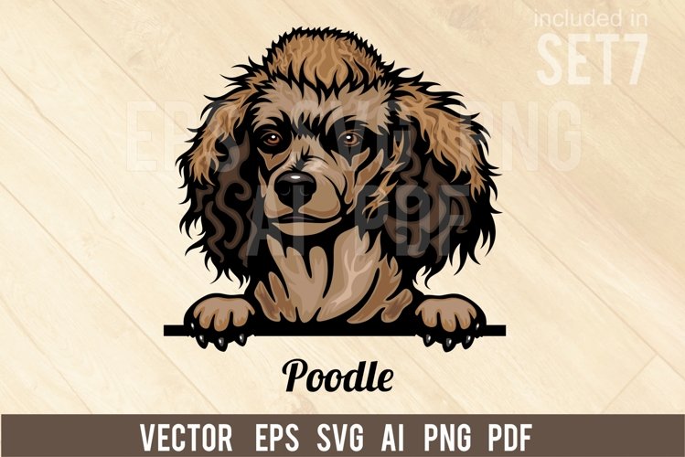 Poodle Svg Image 23
