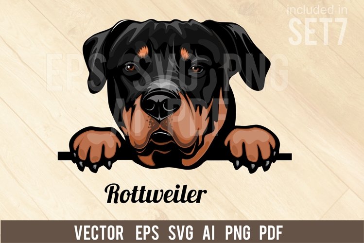 Rottweiler Svg Image 4