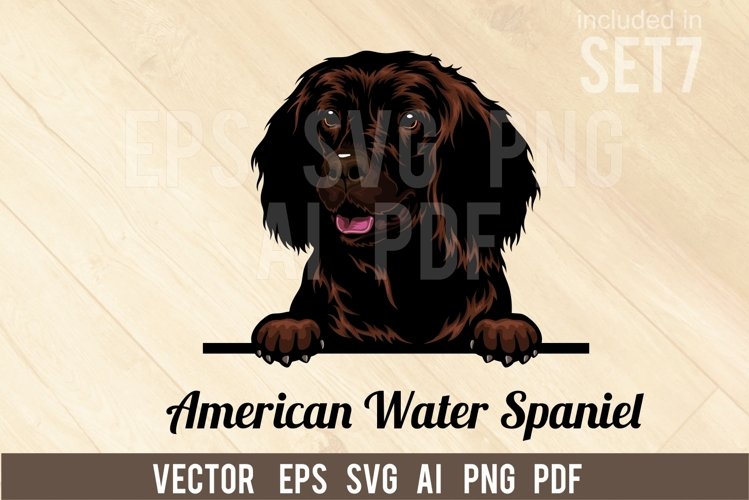 American Water Spaniel - Peeking Dog Colorful, SVG