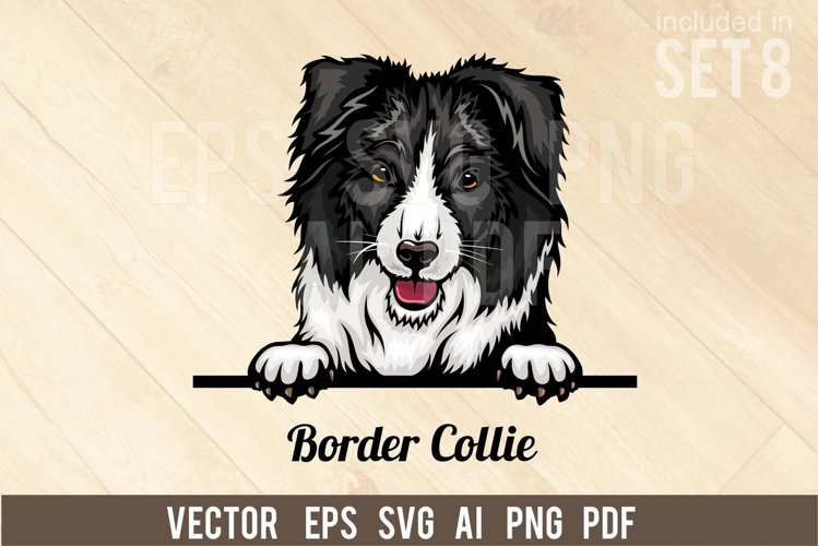 Border Collie - Peeking Dog Colorful, Pet Portrait SVG