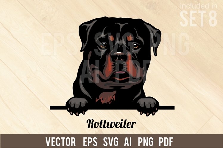 Rottweiler Svg Image 3