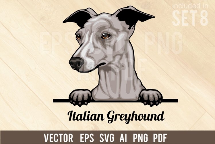 Greyhound Svg Image 14