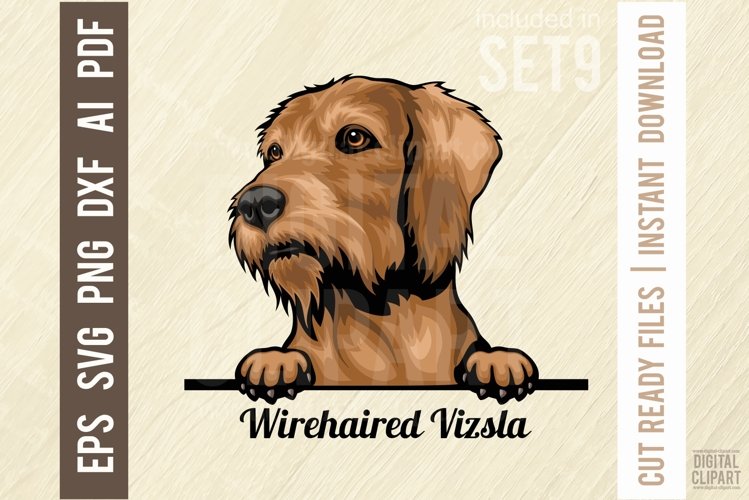 Peeking Dog Svg Image 20