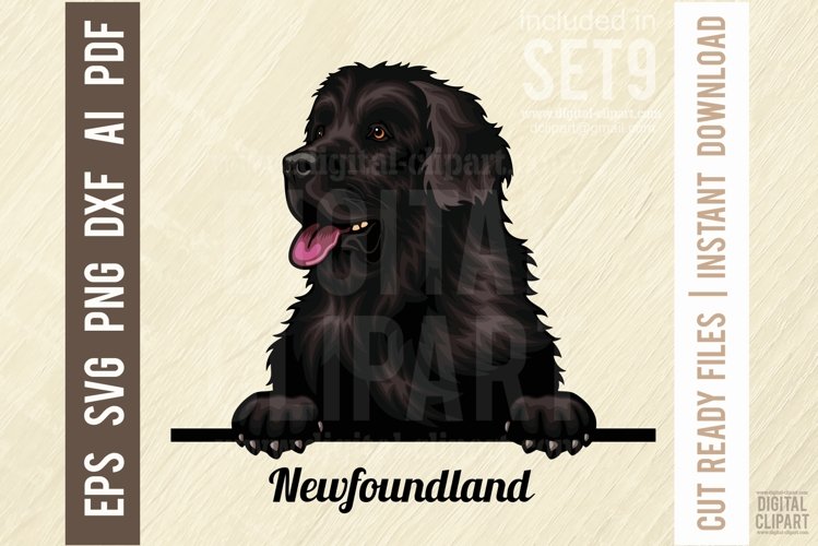 Peeking Dog Svg Image 6