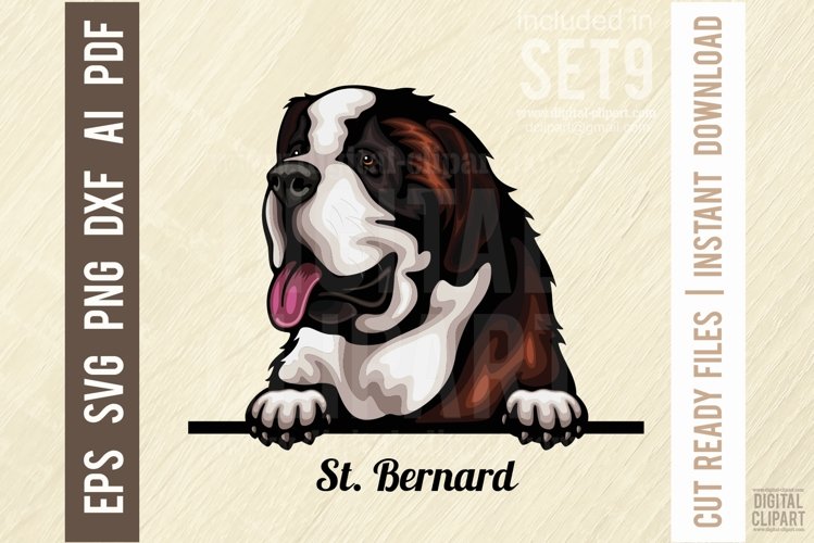 St. Bernard - Peeking Dog Colorful Pet Portrait SVG