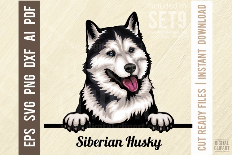 Peeking Dog Svg Image 24