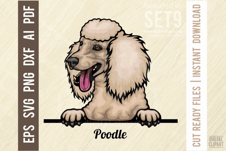 Poodle Svg Image 24