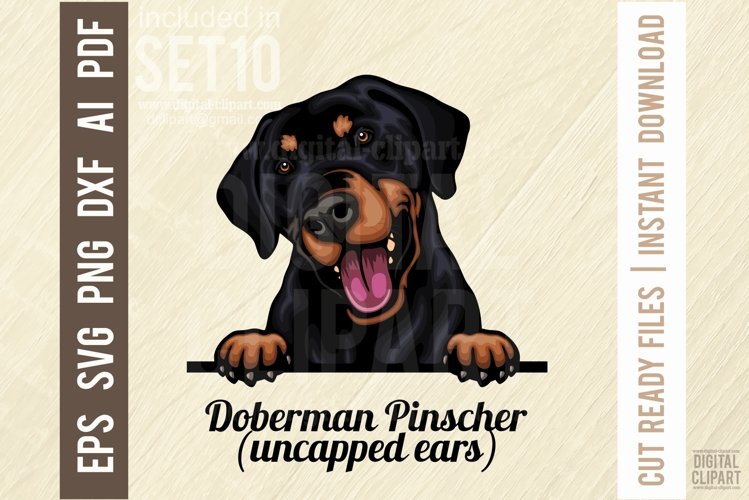 Doberman Pinscher - Peeking Dog Colorful, Pet Portrait SVG