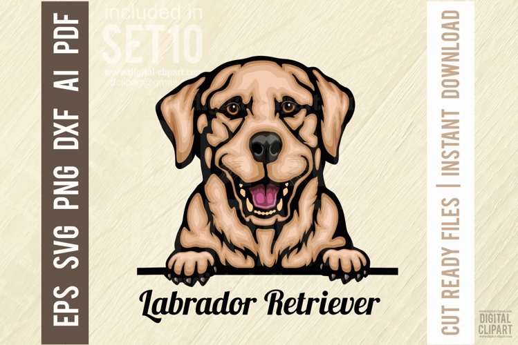 Labrador Retriever - Peeking Dog Colorful, Pet Portrait SVG