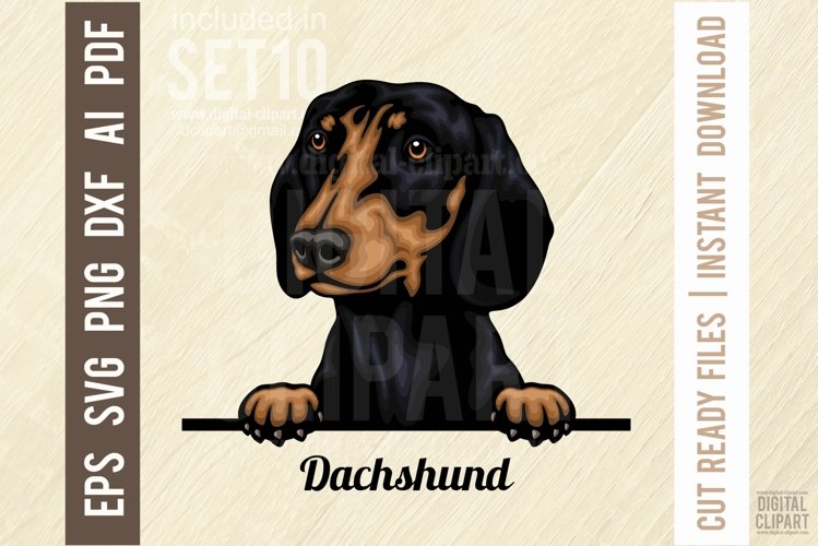 Dachshund Svg Image 4