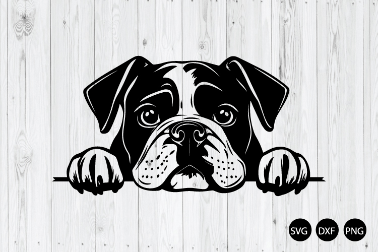 Peeking English Bulldog SVG, Bulldog SVG, Animal SVG