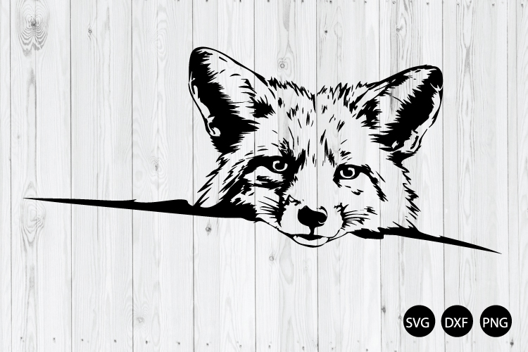 Fox Png