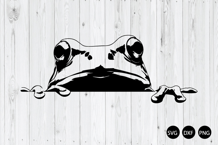 Frog Png