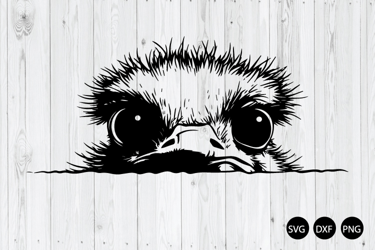 Peeking Funny Ostrich SVG, Ostrich SVG, Animal SVG