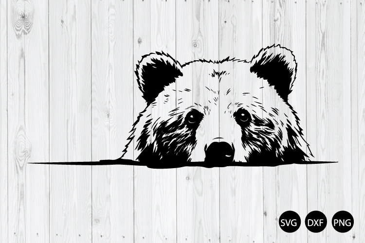 Peeking grizzly bear SVG, Bear SVG, Animal SVG