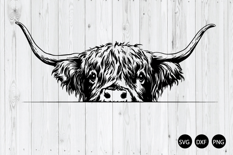 Highland Cow Png Image 2
