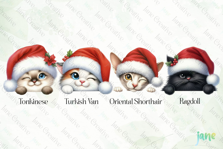 Peeking Holiday Cat Clipart