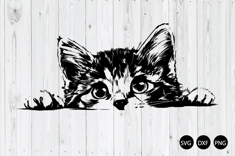 Kitten Png