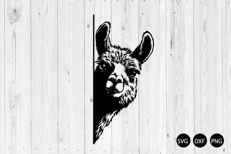 Peeking Llama SVG, Llama SVG, Animal SVG
