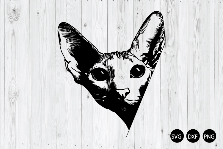 Peeking Oriental Shorthair Cat SVG, Cat SVG, Animal SVG