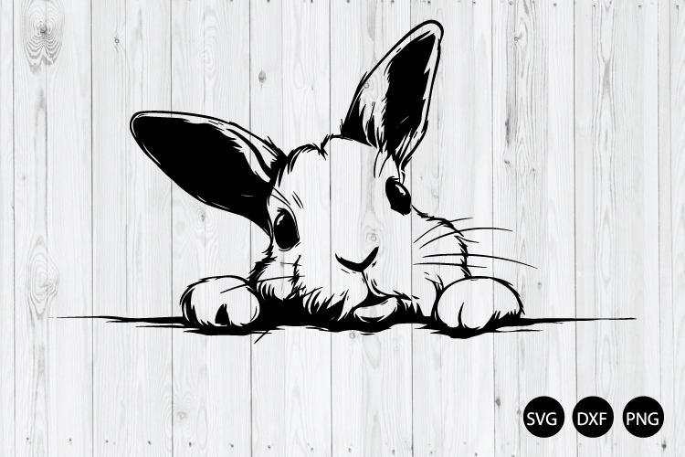 Rabbit Png