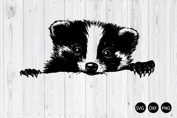 Skunk Svg Image 2