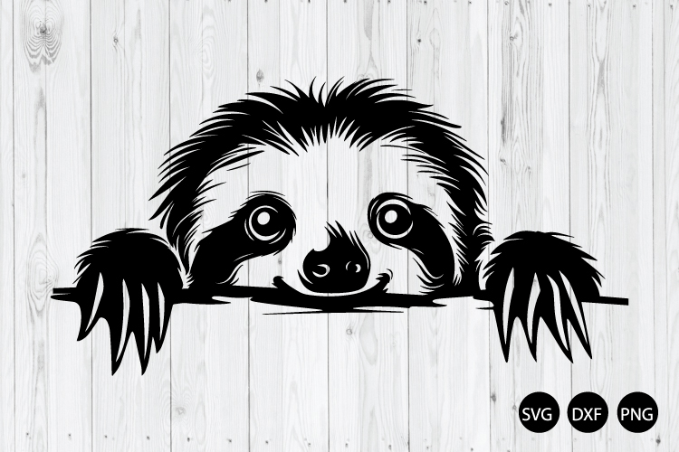 Sloth Png