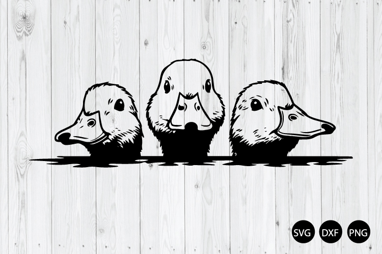Duck Png