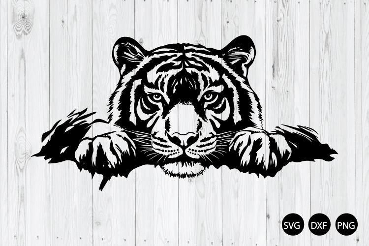 Peeking Tiger SVG, Tiger Face SVG, Tiger SVG, Animal SVG