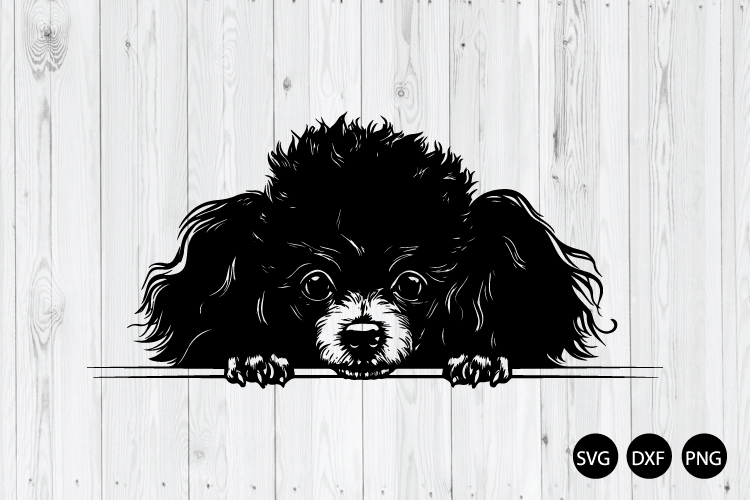 Hund Png Image 3