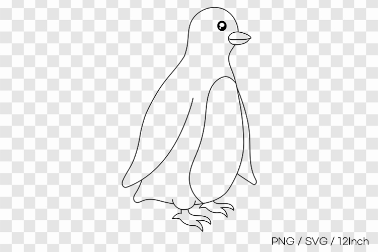 Antarctic polar penguin bird winter shape PNG animal clipart