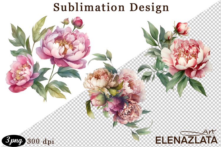 Watercolor Pink Peonies Flowers Clipart