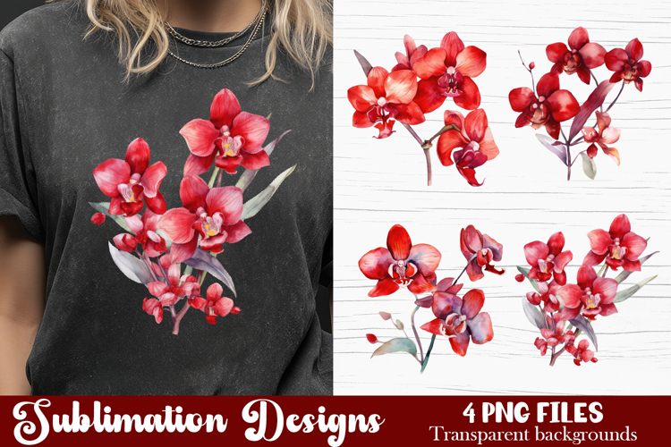 Orchid Illustration Image 22